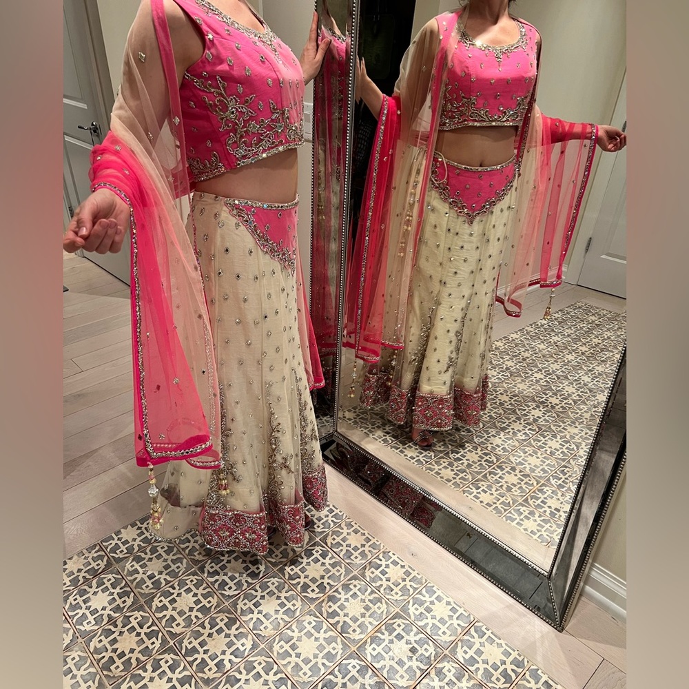 Gorgeous Indian wedding dress - Picture 14 of 17